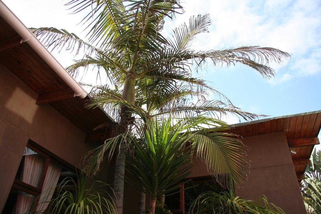 Dunedin Star Guesthouse Swakopmund Bagian luar foto