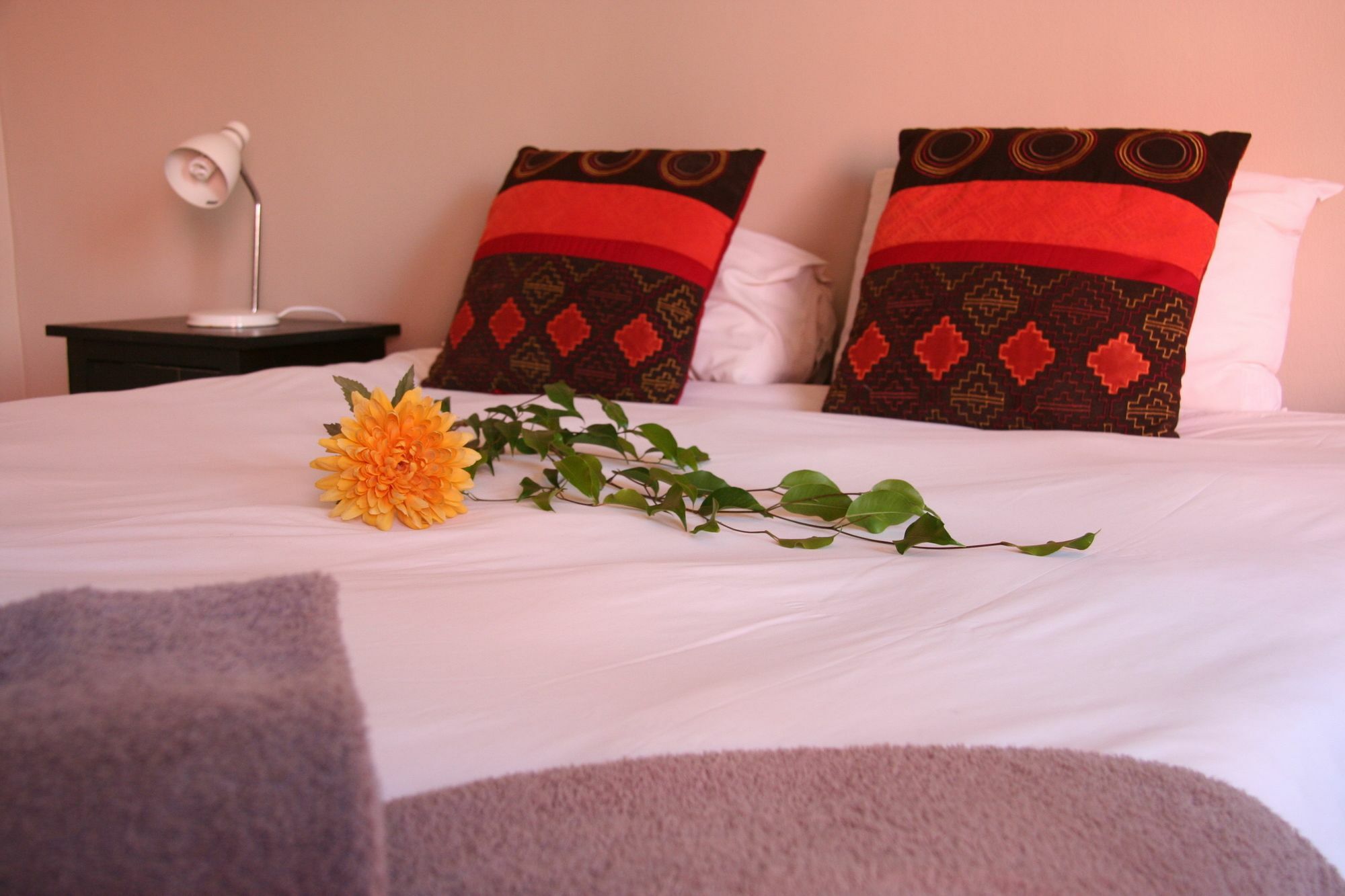 Dunedin Star Guesthouse Swakopmund Bagian luar foto